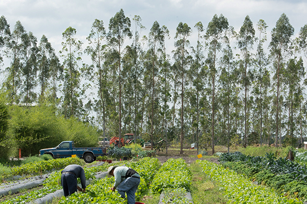 Agrotourism events in Martin County, Florida