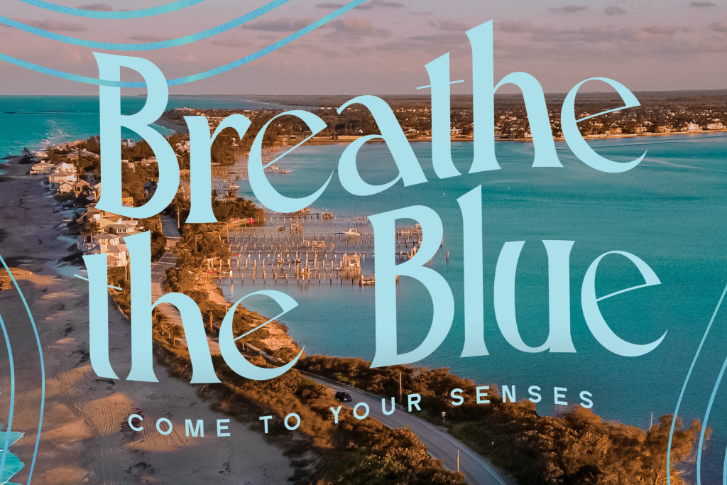 breathe the blue