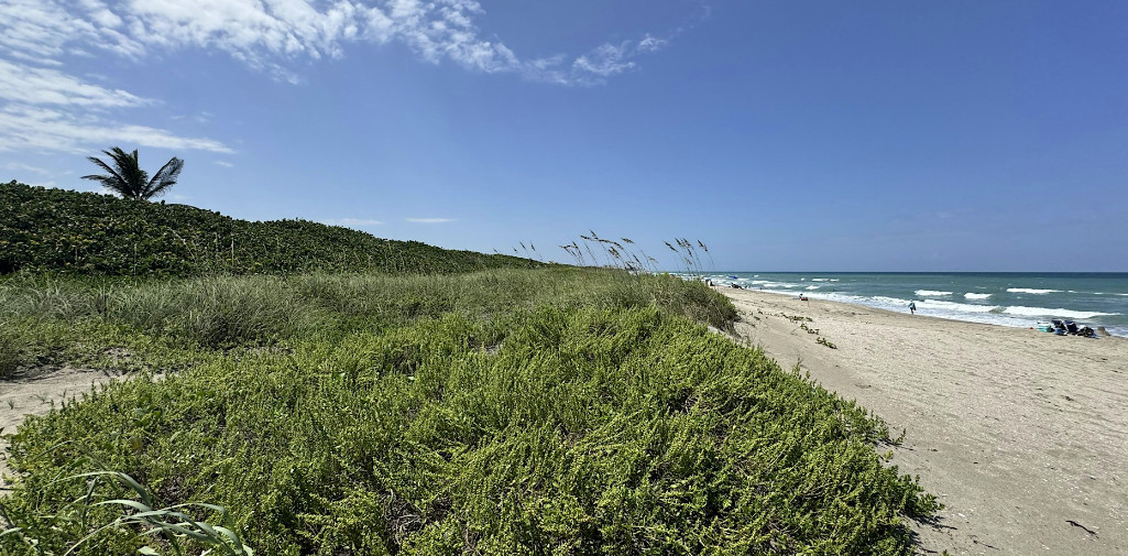 Bob Graham Beach