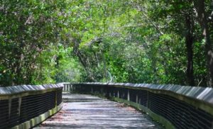 st lucie inlet preserve
