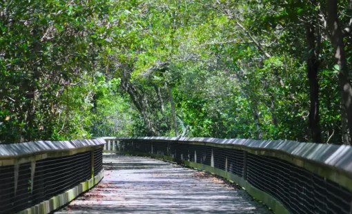 st lucie inlet preserve