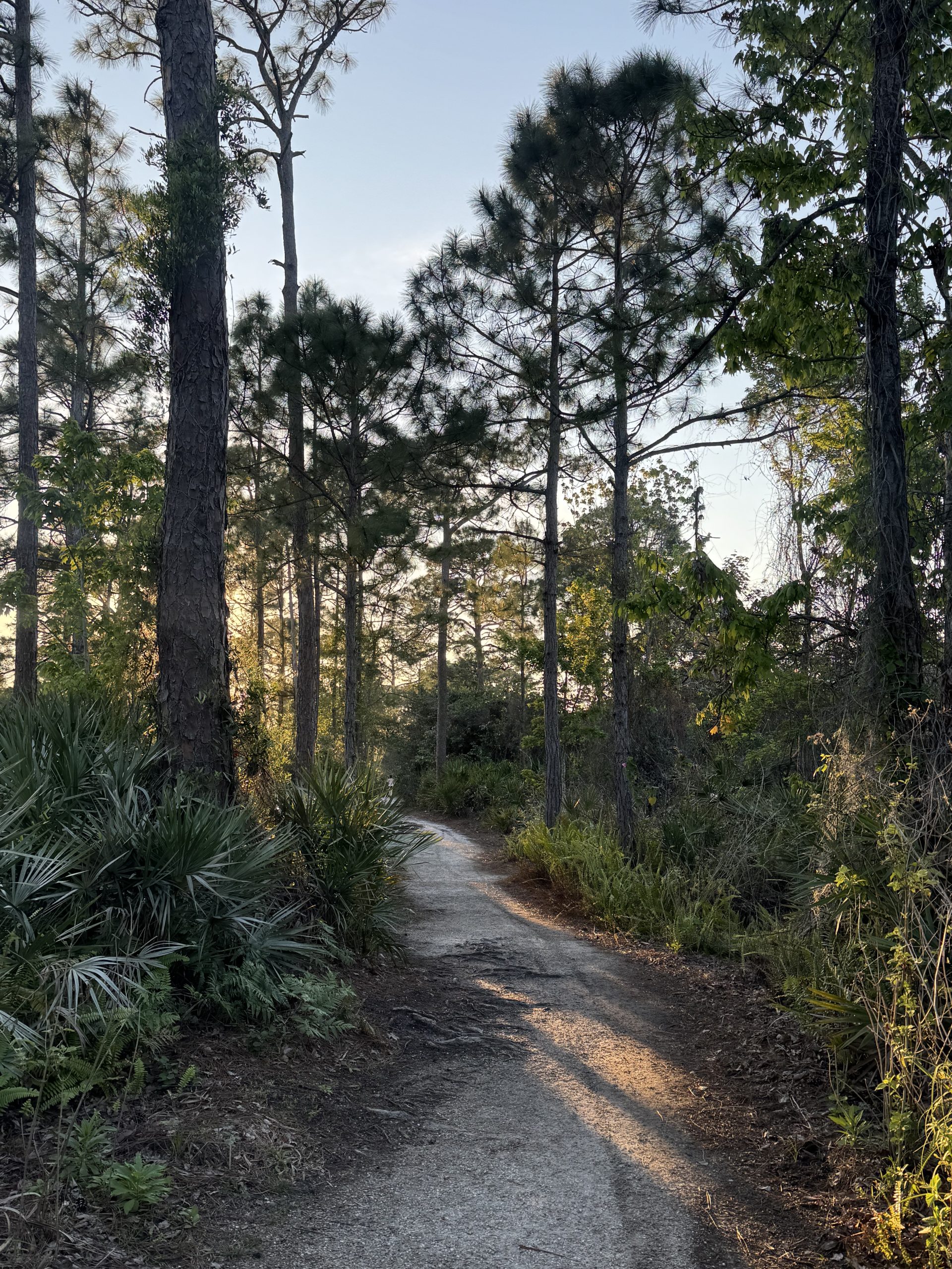 Kiplinger Preserve