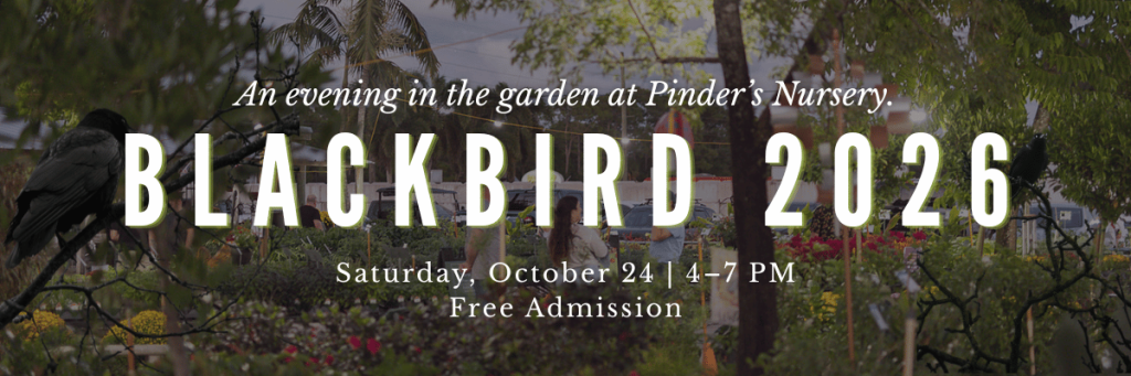Blackbird Social: A Wondrous & Wicked Fall Gathering event image