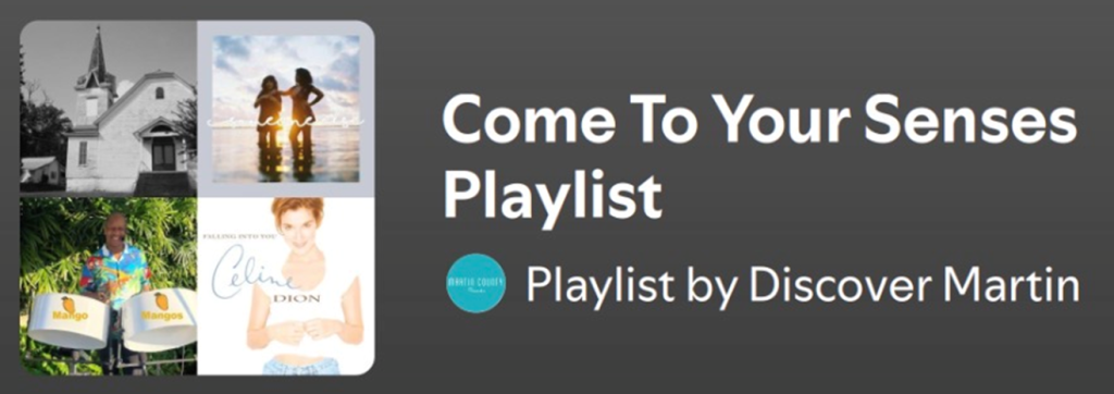 Come to your senses playlist screenshot - title